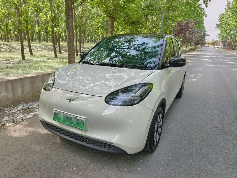 Wuling Bingo