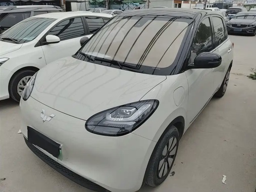 Wuling Bingo 2024