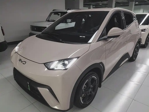 BYD Seagull 2024
