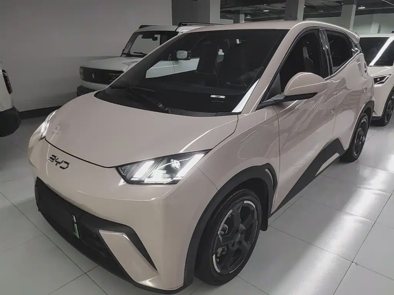 BYD Seagull