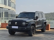 Tank 300 2023