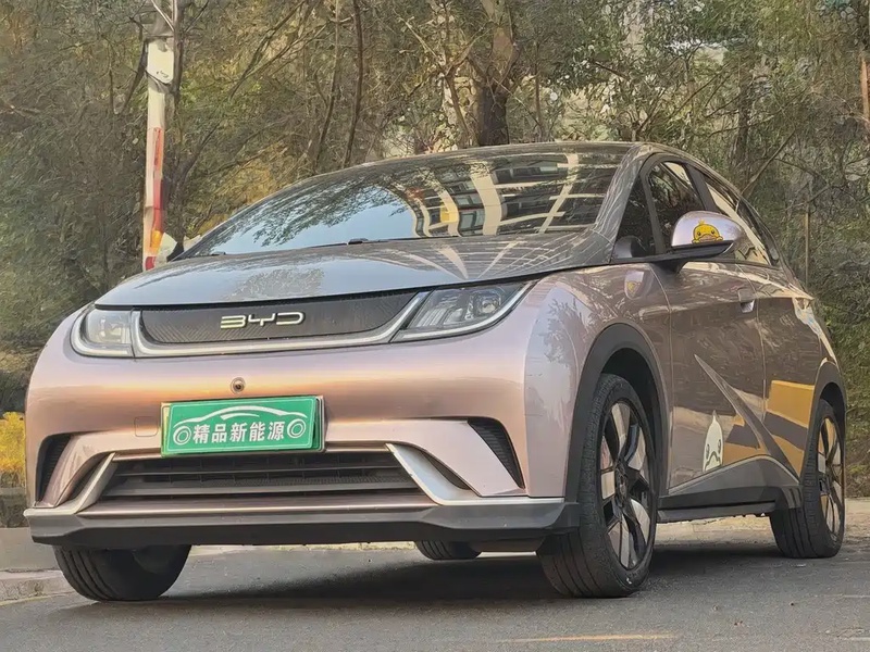 BYD Dolphin