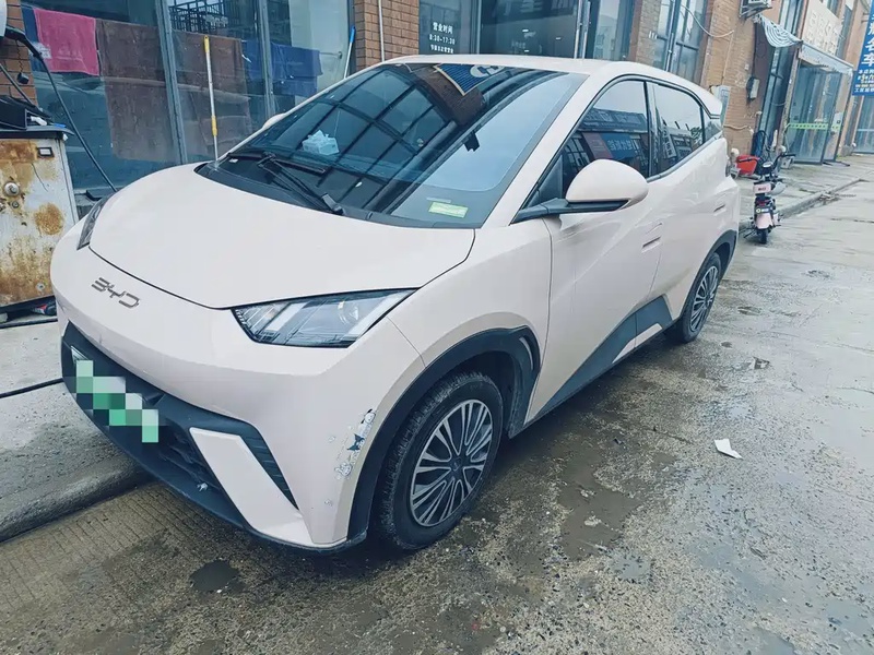 BYD Seagull