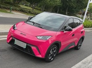 BYD Seagull 2024