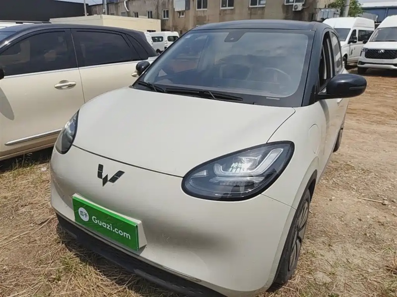 Wuling Bingo
