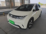 BYD Dolphin 2024