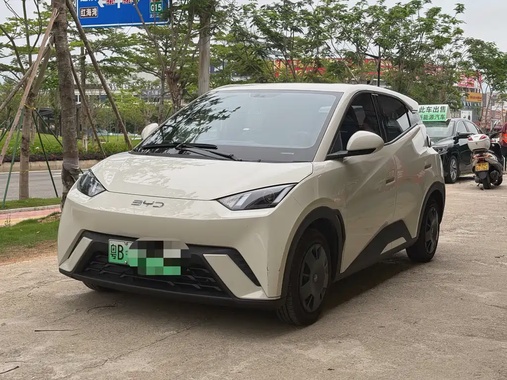 BYD Seagull 2024