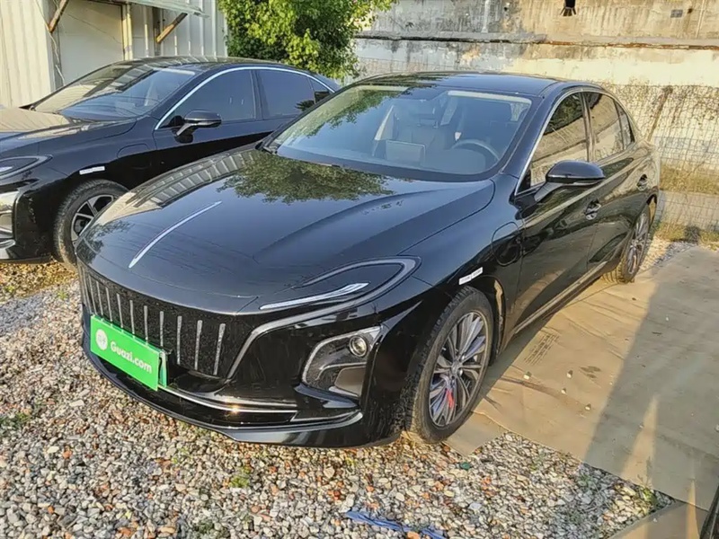 Hongqi E-QM5