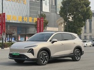 Wuling Xingguang 2024