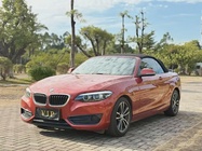 BMW 2 Series 2019