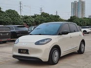 Wuling Bingo 2024