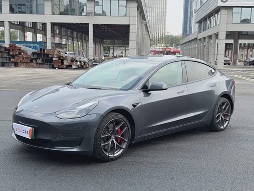 Tesla Model 3 2022