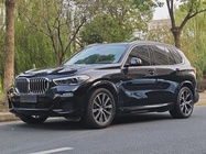 BMW X5 2019
