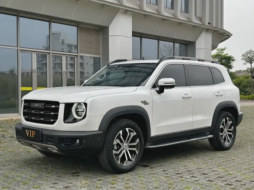Haval Big Dog 2021