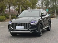 BYD PLUS 2021