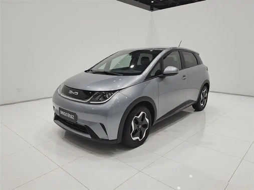 BYD Dolphin 2023