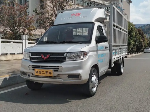 Wuling New Truck 2022