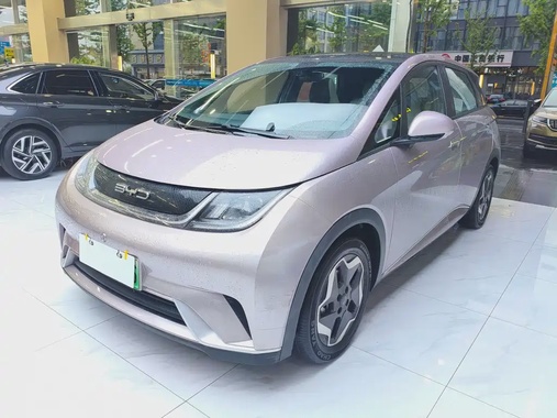 BYD Dolphin 2022