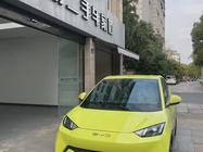 BYD Seagull 2024