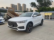 BYD PLUS 2021