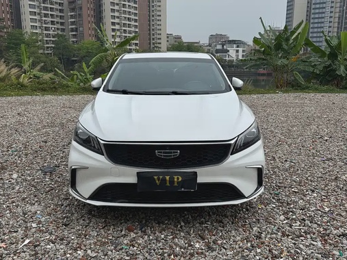 Geely Binrui 2021