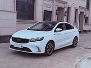 Geely Binrui 2021