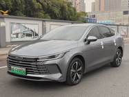 BYD Destroyer 2024