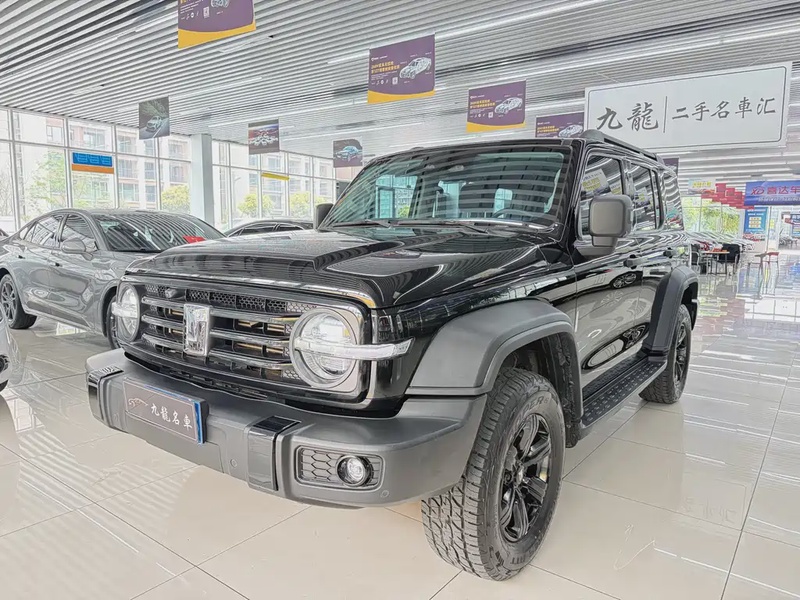 Tank 300