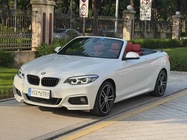 BMW 2 Series 2019