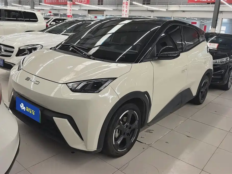 BYD Seagull