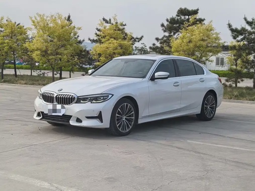 BMW 3 Series 2019