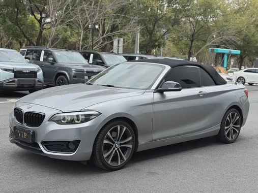BMW 2 Series 2019