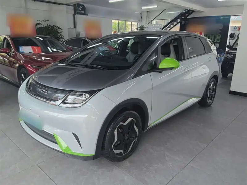 BYD Dolphin