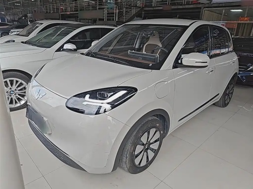 Wuling Bingo 2024