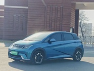 BYD Dolphin 2022