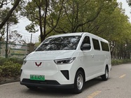 Wuling Yangguang 2024