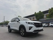Wuling Xingchen 2022