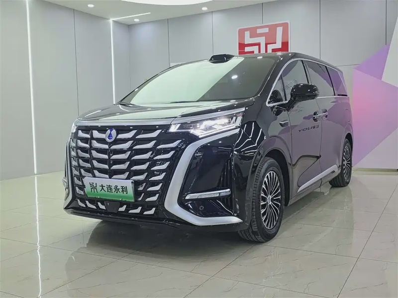 Denza D9