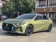 GAC Shadow Leopard 2021