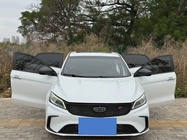 Geely Binrui 2021