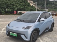BYD Seagull 2025