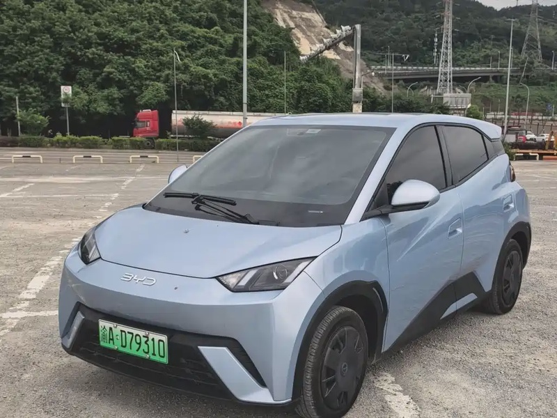 BYD Seagull