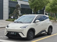 BYD Seagull 2024