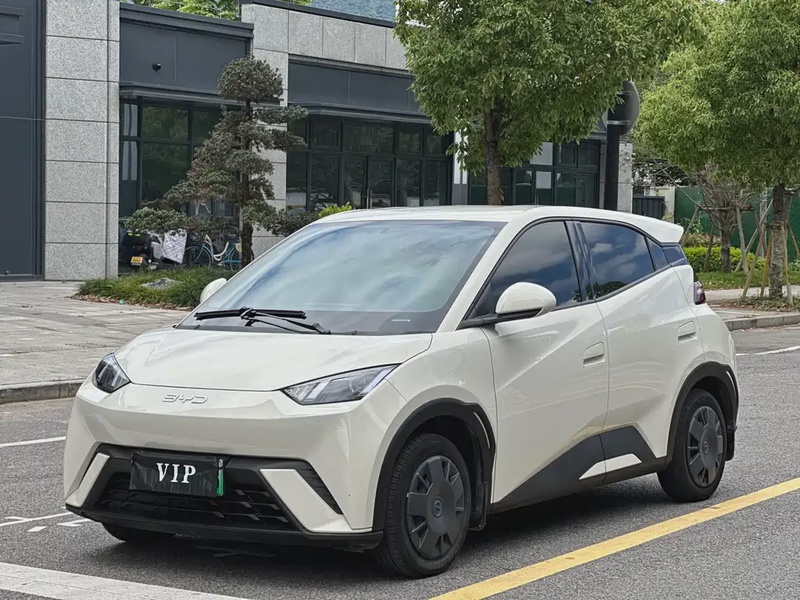 BYD Seagull