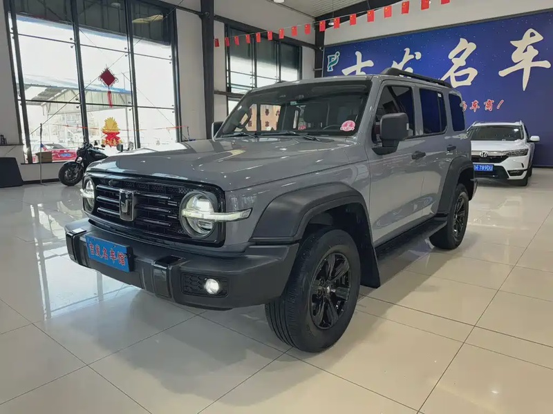 Tank 300