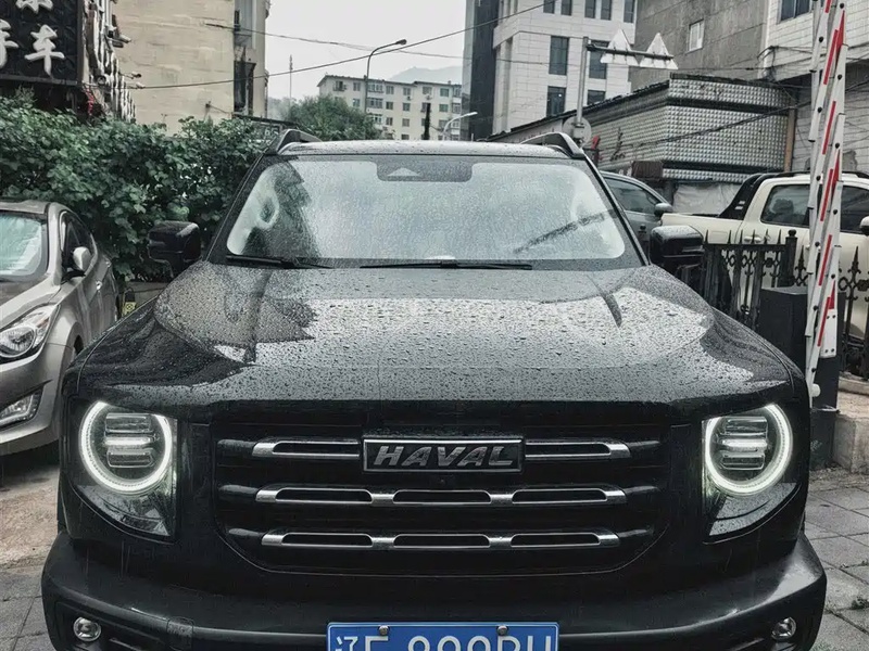 Haval Big Dog
