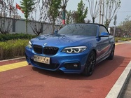 BMW 2 Series 2019