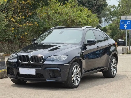 BMW X6M 2010