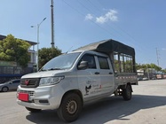 Wuling New Truck 2020