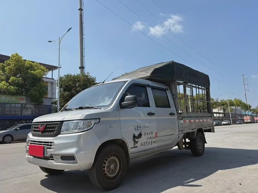 Wuling New Truck 2020